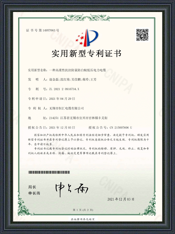 Giấy chứng nhận bằng sáng chế mẫu hữu ích